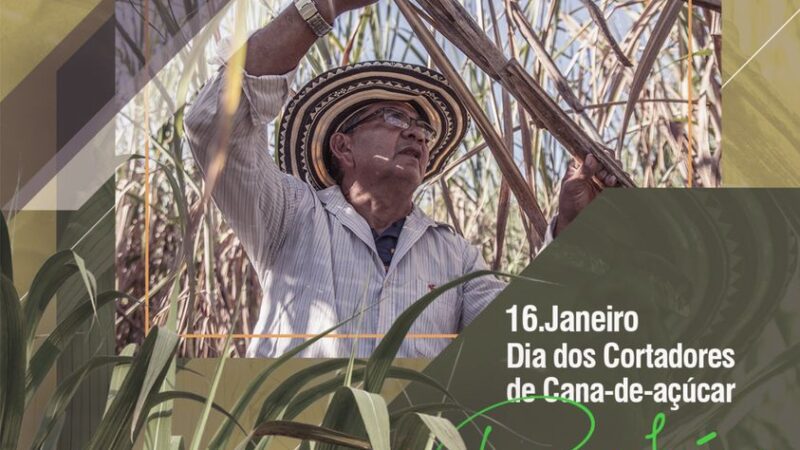 16 de Janeiro – Dia dos Cortadores de Cana de açúcar.