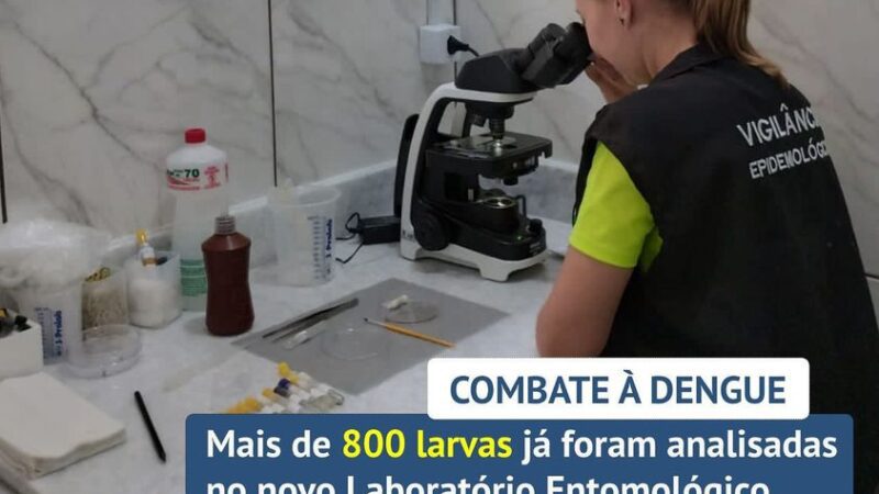 Laboratório entomológico realiza análise de mais de 800 larvas do mosquito da dengue em 3 meses de funcionamento