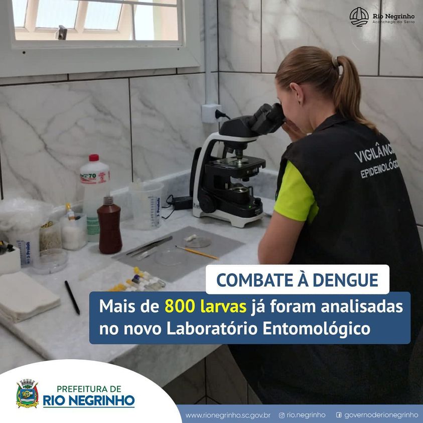 Laboratório entomológico realiza análise de mais de 800 larvas do mosquito da dengue em 3 meses de funcionamento