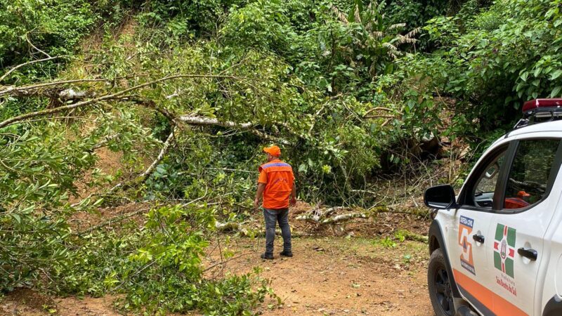 Defesa Civil atua na retirada de árvores em Rio Natal