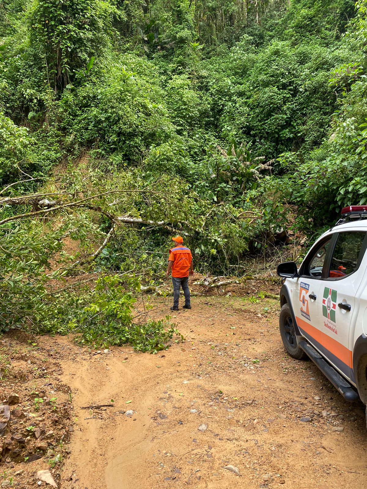 Defesa Civil atua na retirada de árvores em Rio Natal