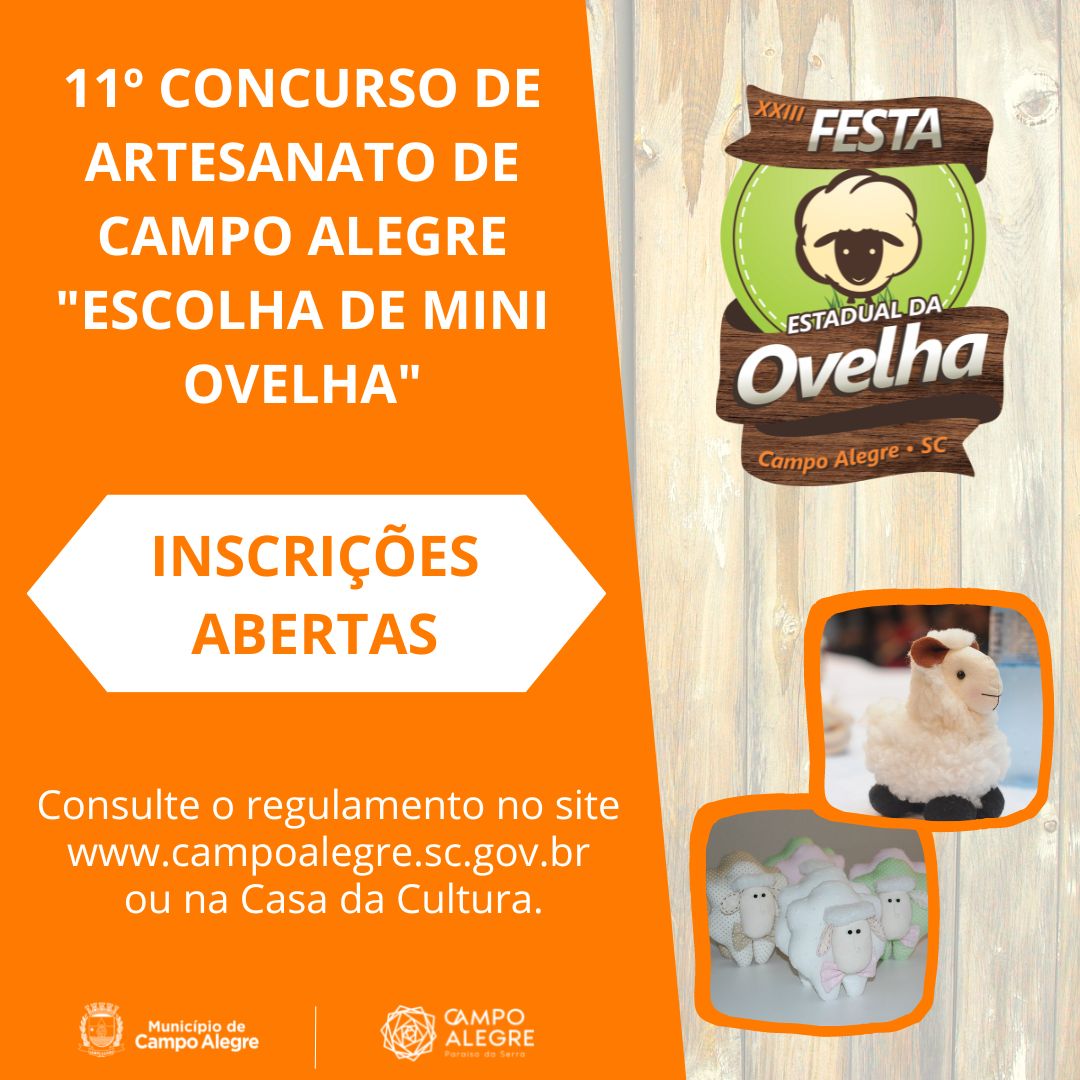 11º CONCURSO DE ARTESANATO DE CAMPO ALEGRE ESCOLHA DE MINI-OVELHA