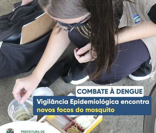 COMBATE Á DENGUE