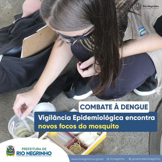 COMBATE Á DENGUE