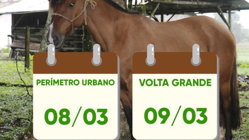 COLETAS DO PROGRAMA SANIDADE EQUINA