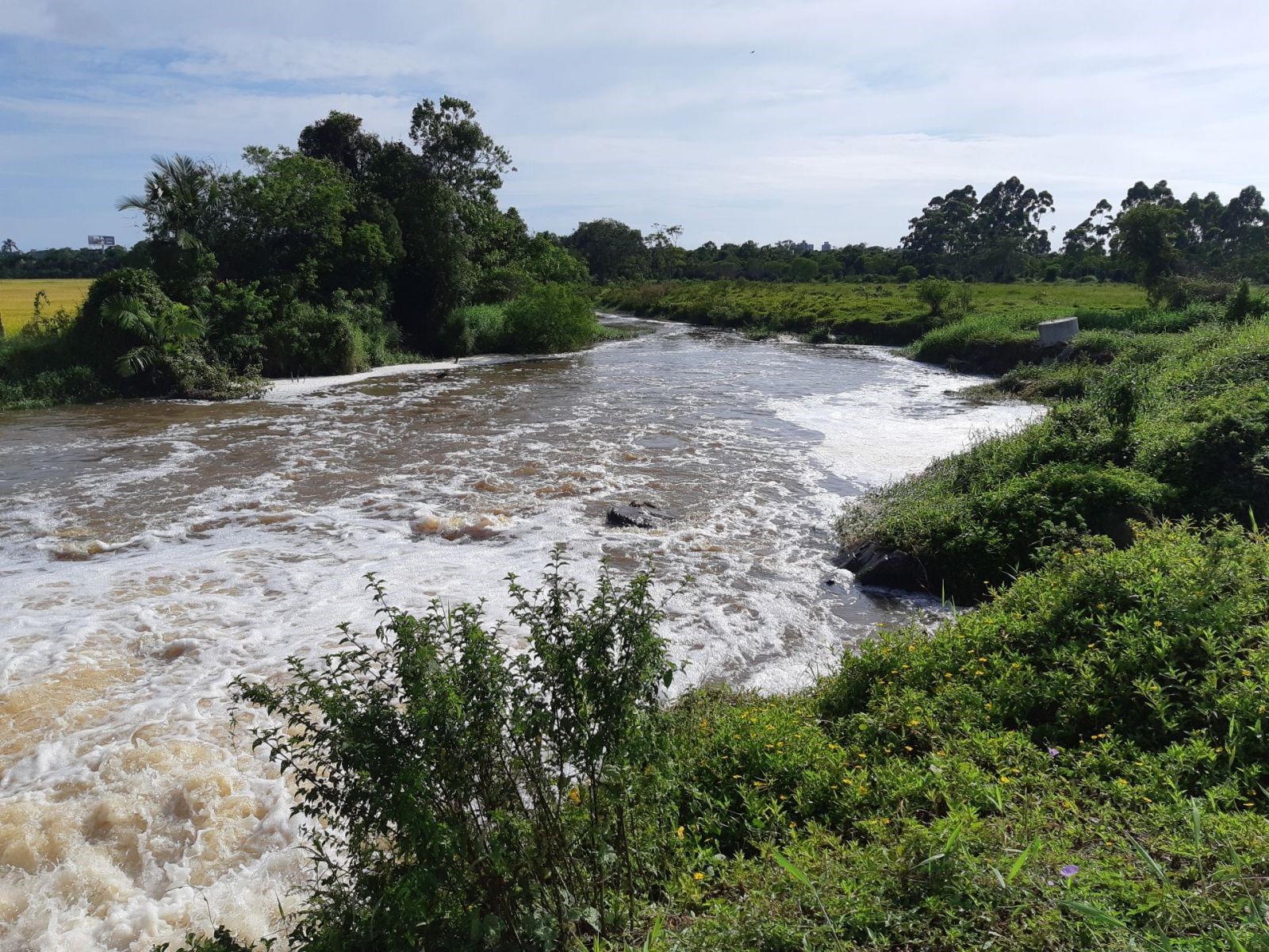 Epagri e CASAN trabalham para pagamento de serviços ambientais na Bacia do Rio Piçarras