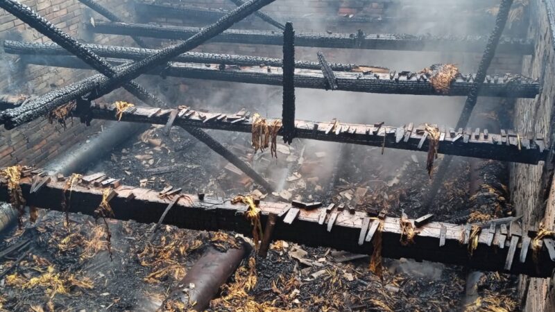 Incêndio atinge estufa de fumo