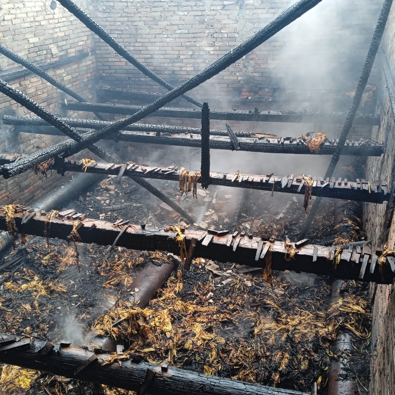 Incêndio atinge estufa de fumo