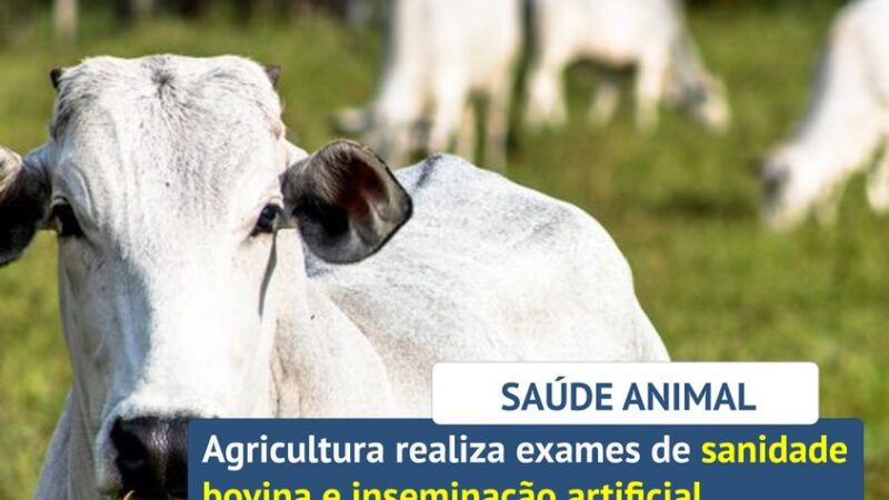 SAÚDE ANIMAL