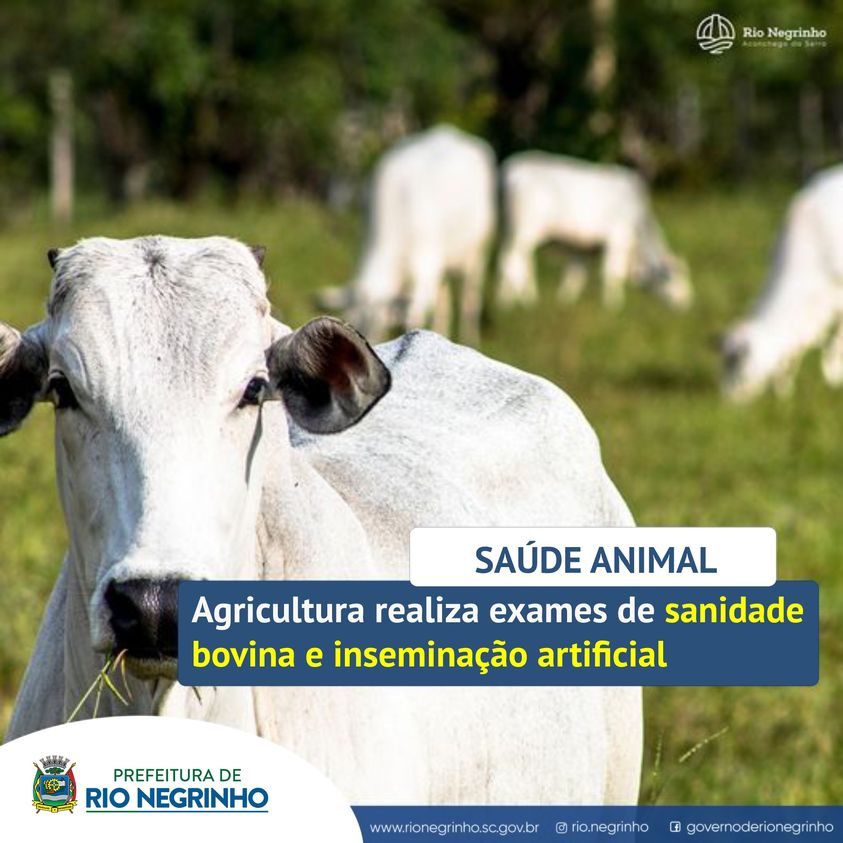 SAÚDE ANIMAL