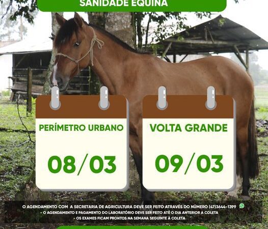 COLETAS DO PROGRAMA SANIDADE EQUINA