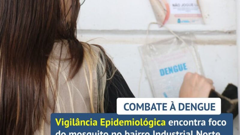 COMBATE Á DENGUE