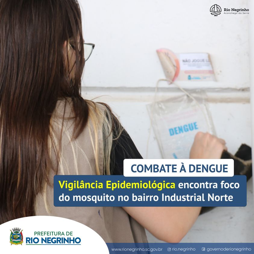 COMBATE Á DENGUE