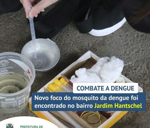 COMBATE A DENGUE