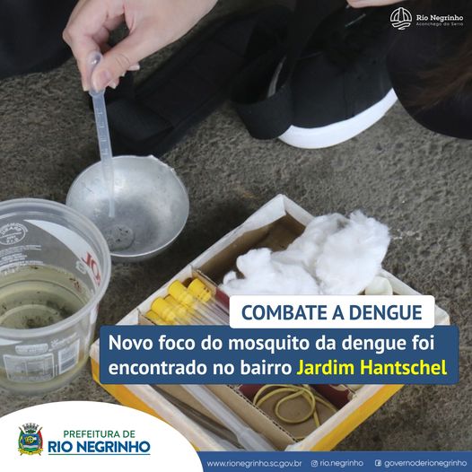 COMBATE A DENGUE