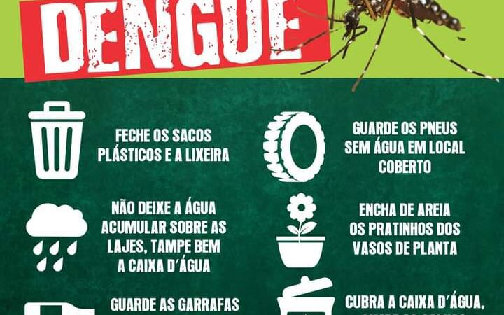 Santa Terezinha identifica 4 focos do mosquito da dengue