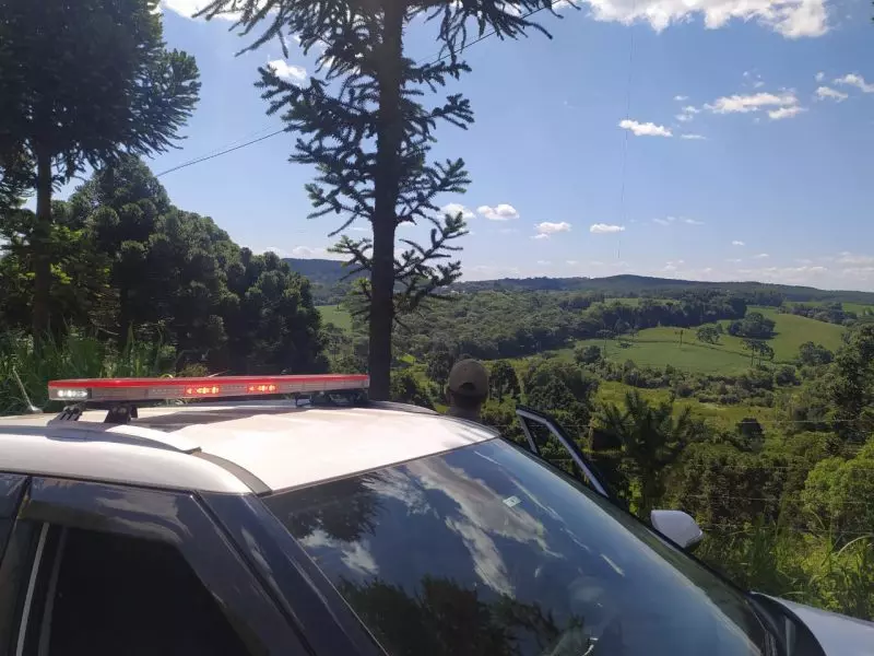 Mulher é agredida pelo companheiro com chutes e socos na frente da filha em Jaraguá do Sul