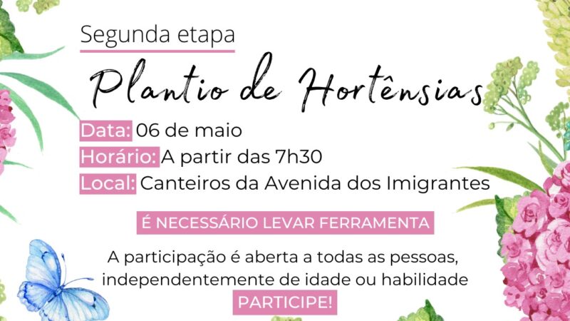 Segunda etapa do plantio de hortênsias na Avenida dos Imigrantes