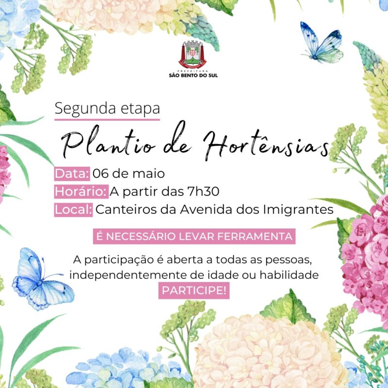 Segunda etapa do plantio de hortênsias na Avenida dos Imigrantes