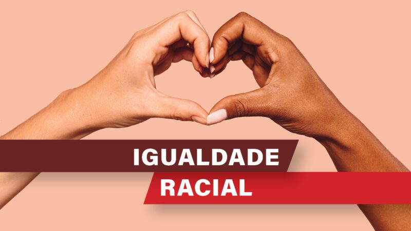 TCE/SC estimula municípios catarinenses a integrarem o Sistema Nacional de Promoção da Igualdade Racial