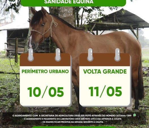 COLETAS DO PROGRAMA SANIDADE EQUINA