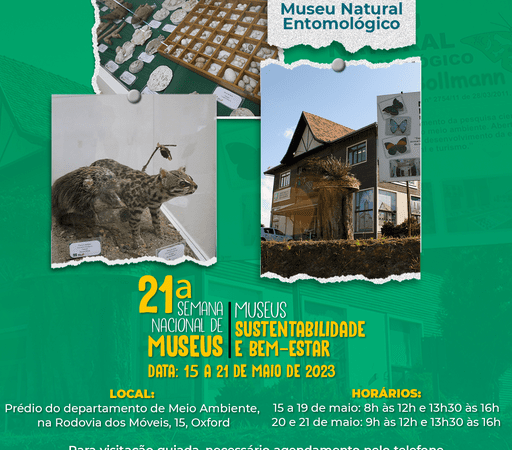 Até o dia 21 de maio ocorre a 21ª Semana Nacional de Museus.