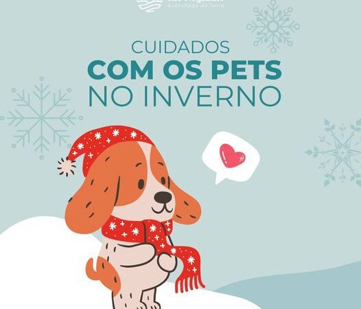 CUIDADOS COM OS PETS