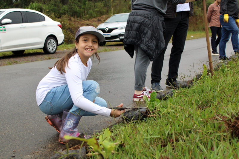 Sábado é dia de plantio de mudas de hortênsias