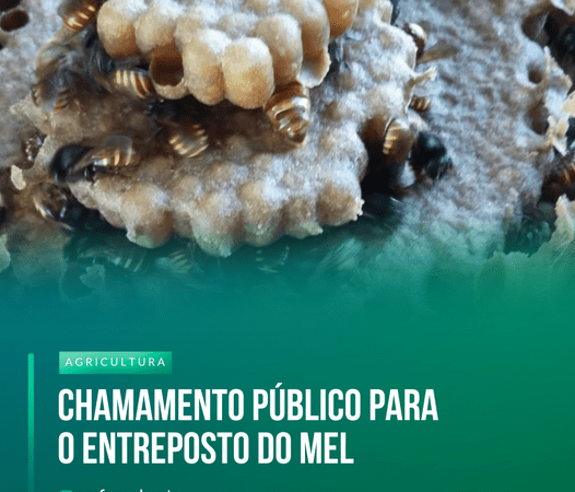 CHAMAMENTO PÚBLICO PARA O ENTREPOSTO DO MEL