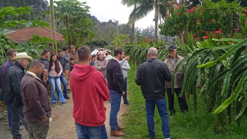 Visita técnica a um pomar de pitaya no município de Aurora.