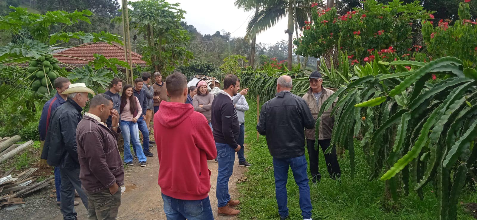 Visita técnica a um pomar de pitaya no município de Aurora.