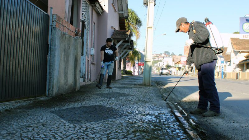 Produto caseiro e sem veneno para limpeza pública