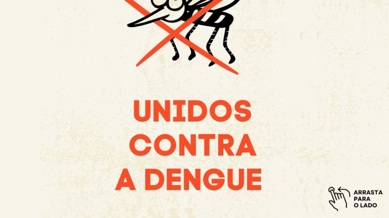 Não dê chances para a Dengue!