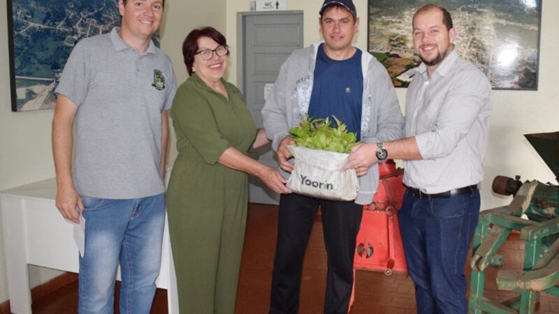 ENTREGA DE MUDAS DE ERVA MATE PARA AGRICULTORES DE CAMPO ALEGRE