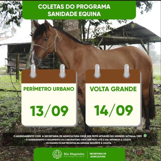 Fique atento às próximas datas de coleta do Programa Sanidade Equina neste mês de setembro!