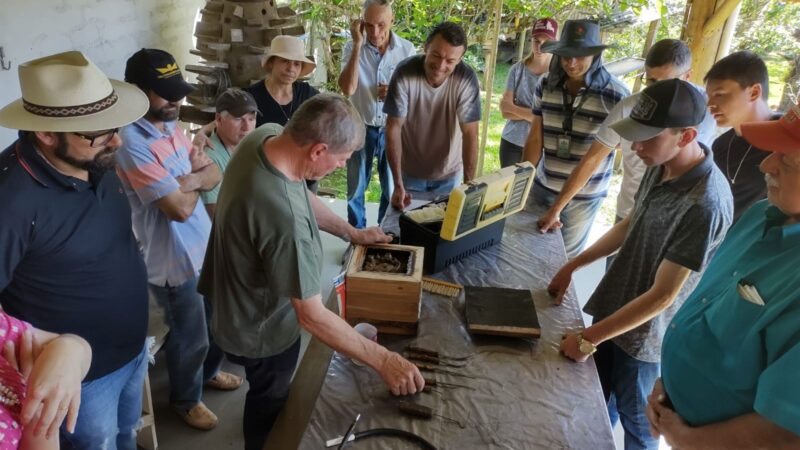 Curso de Meliponicultura em Monte Castelo: Promovendo o Conhecimento sobre Abelhas Sem Ferrão