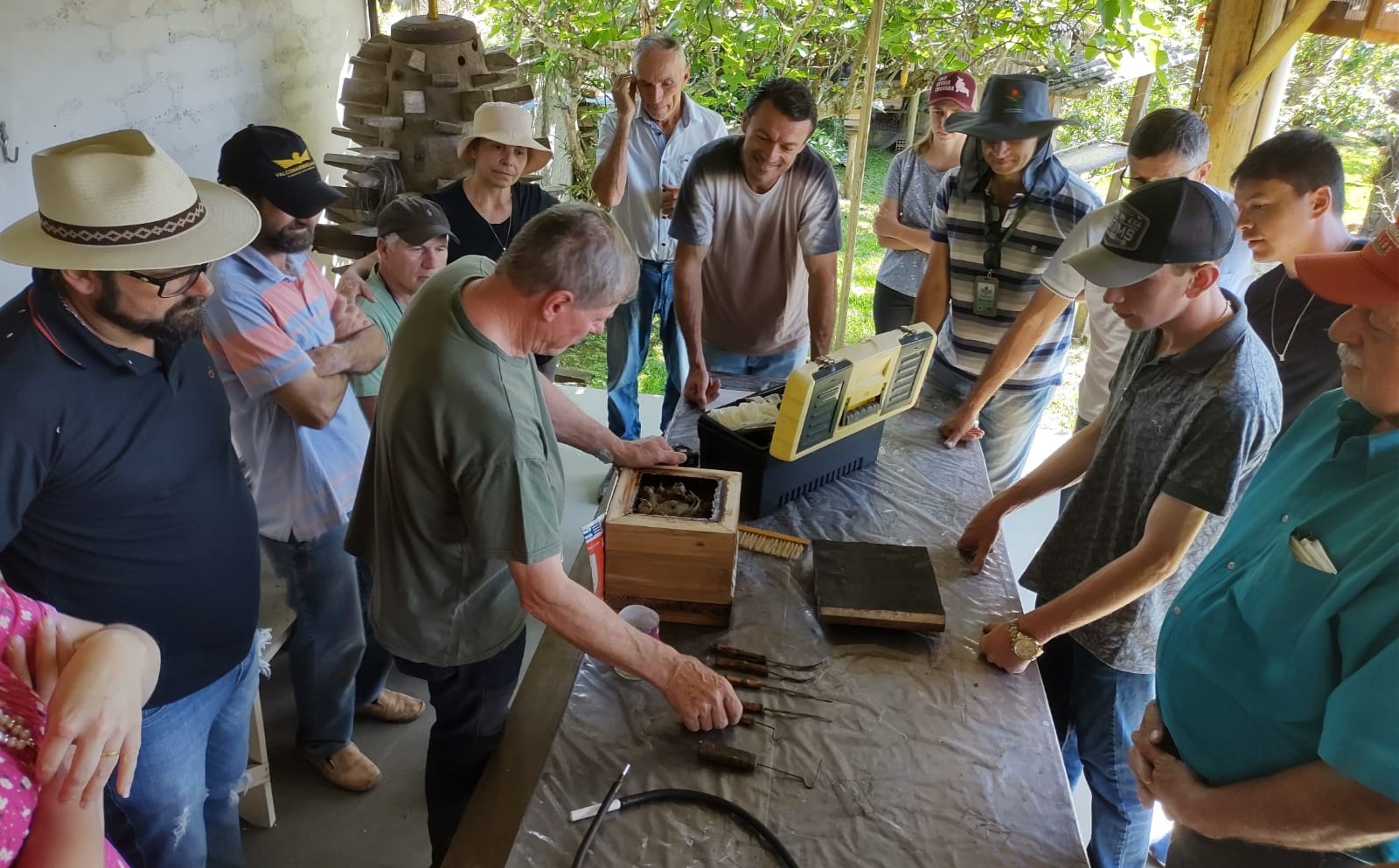 Curso de Meliponicultura em Monte Castelo: Promovendo o Conhecimento sobre Abelhas Sem Ferrão