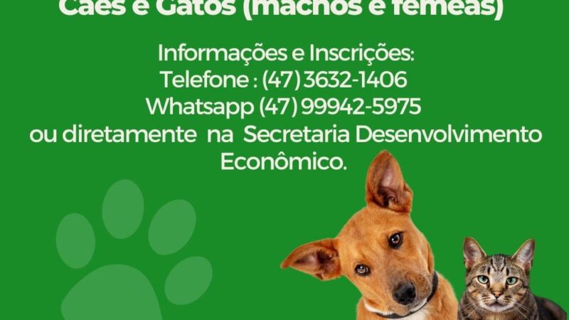 INSCRIÇÕES ABERTAS PARA CASTRAÇÃO DE ANIMAIS EM CAMPO ALEGRE