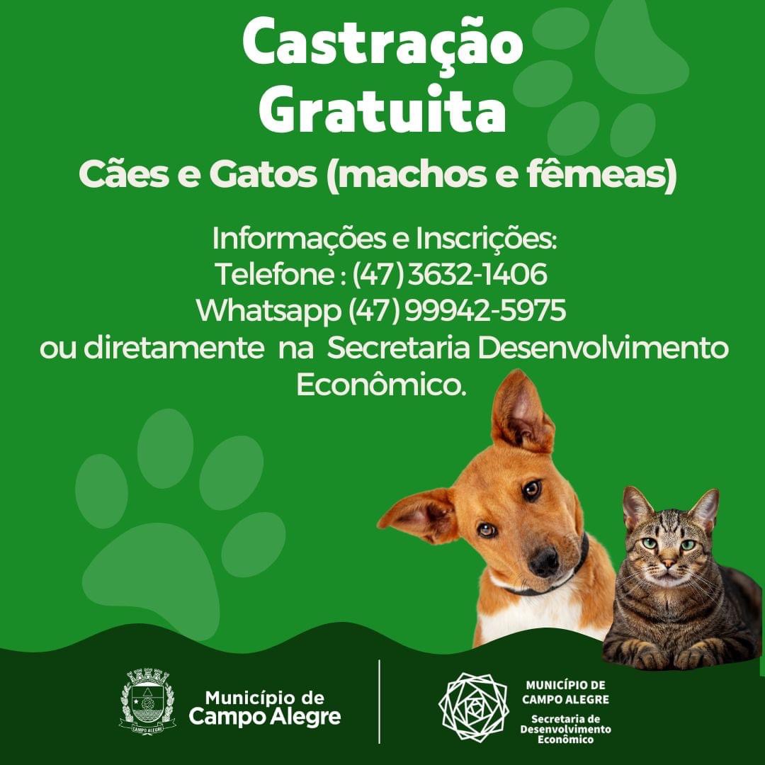 INSCRIÇÕES ABERTAS PARA CASTRAÇÃO DE ANIMAIS EM CAMPO ALEGRE