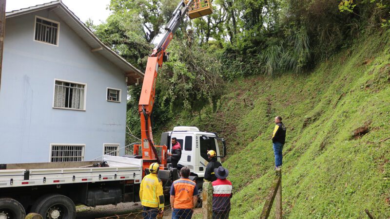 Equipes atuam na retirada de árvore que caiu sobre residência no bairro Oxford