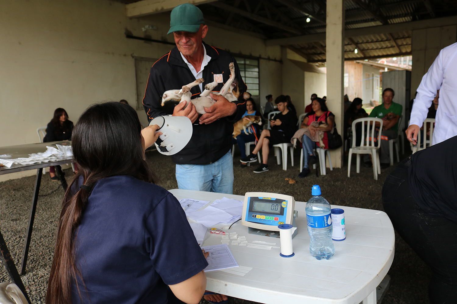 220 animais recebem castração gratuita em São Bento do Sul