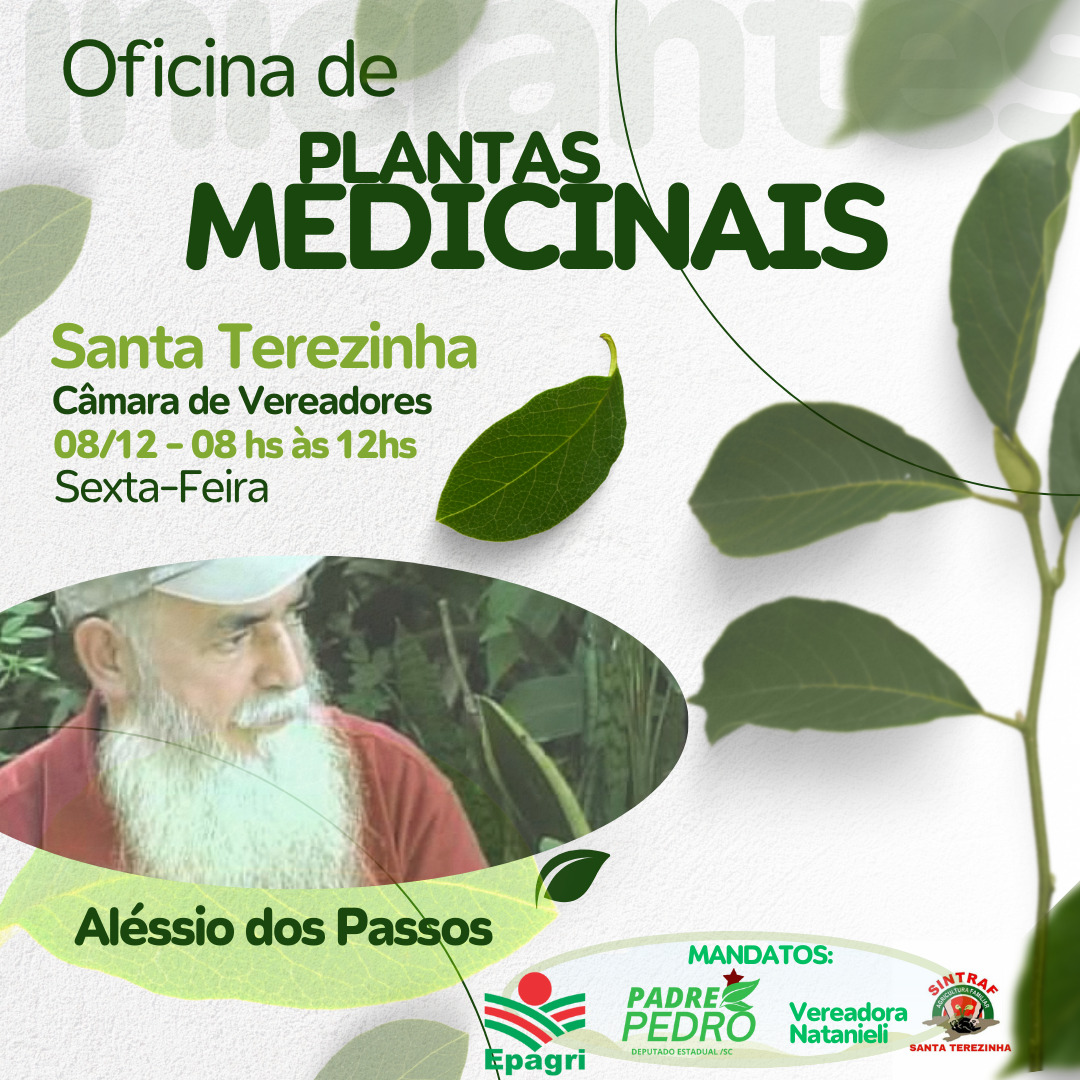 Oficina de Plantas medicinais na Câmara de Vereadores de Santa Terezinha atrai a atenção