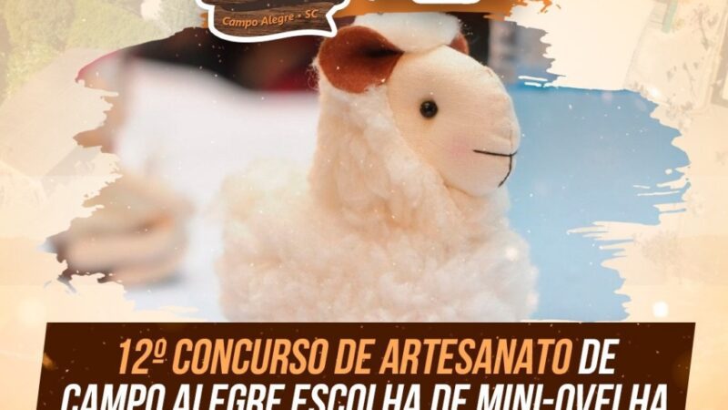 12º CONCURSO DE ARTESANATO DE CAMPO ALEGRE ESCOLHA DE MINI-OVELHA