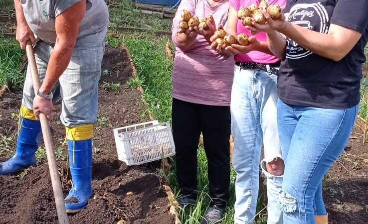 Hortas comunitárias são sinônimo de saúde