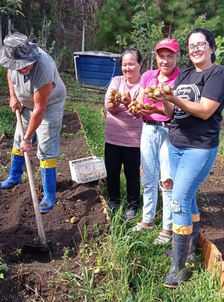 Hortas comunitárias são sinônimo de saúde