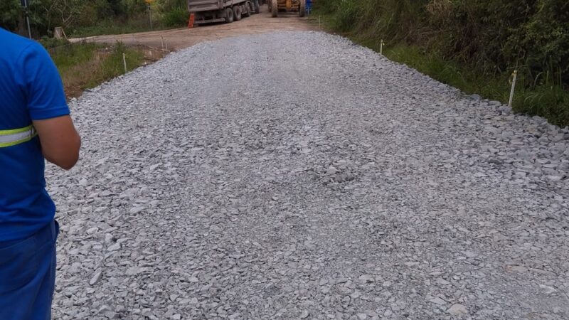 Lino Roesler em trabalhos avançados