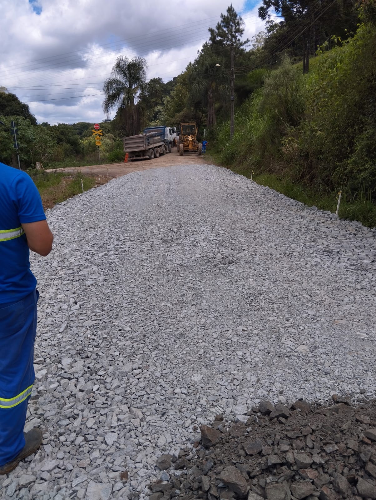 Lino Roesler em trabalhos avançados