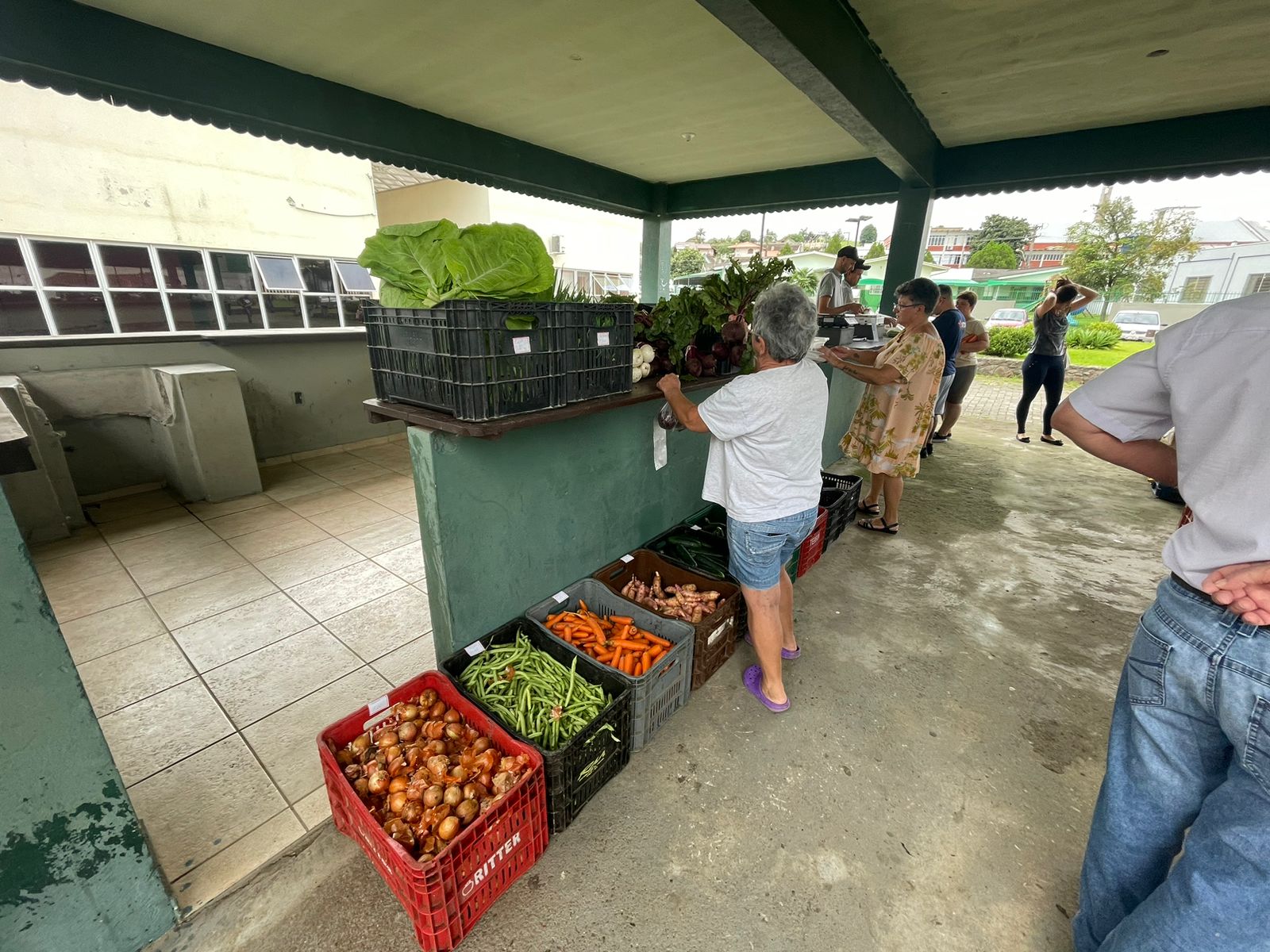 Câmbio Verde bate recorde na arrecadação de reciclados