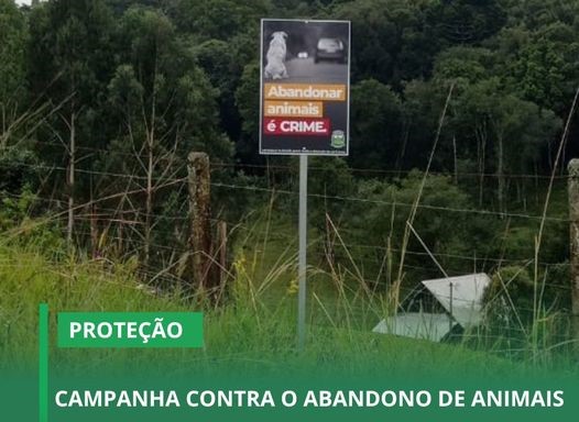 Prefeitura de Campo Alegre intensifica combate ao abandono de animais com novas placas de conscientização