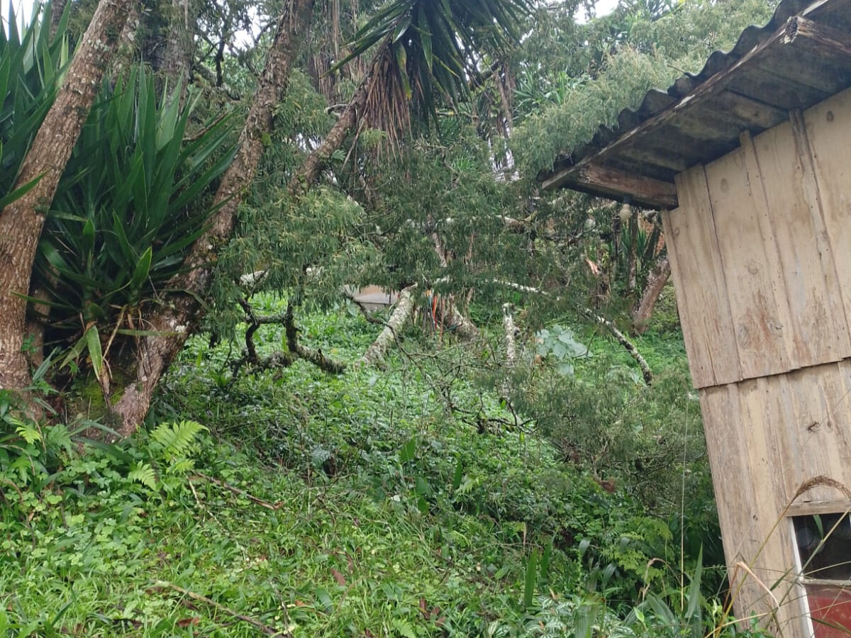 Chuva causa prejuízos no município